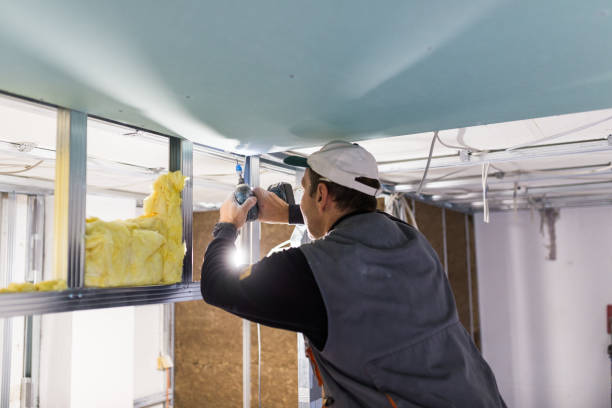 Best Fiberglass Insulation in Hoschton, GA