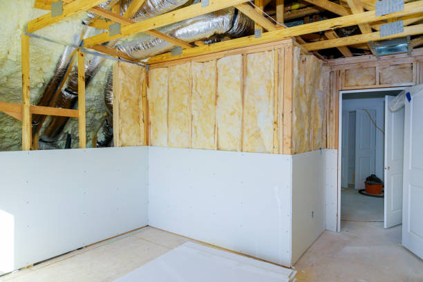 Best DIY Insulation Kits and Guidance in Hoschton, GA