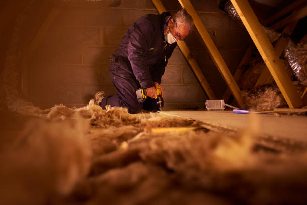 Professional Insulation Contractor in Hoschton, GA